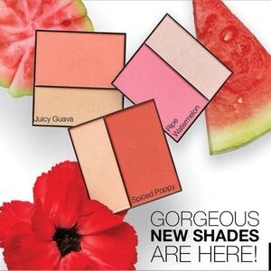Mary Kay Cheek Color Duo - Juicy Guava